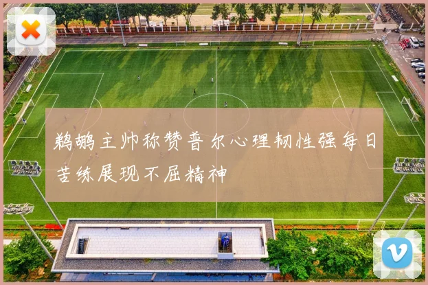 鹈鹕主帅称赞普尔心理韧性强每日苦练展现不屈精神