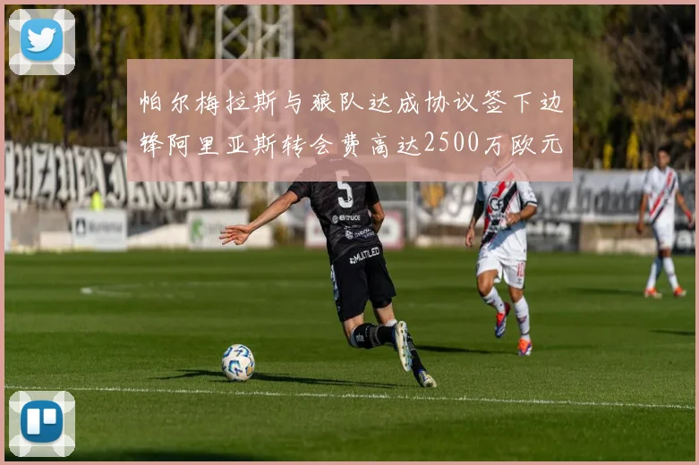 帕尔梅拉斯与狼队达成协议签下边锋阿里亚斯转会费高达2500万欧元