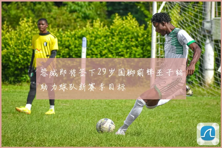 蓉城即将签下29岁国脚前锋王子铭助力球队新赛季目标